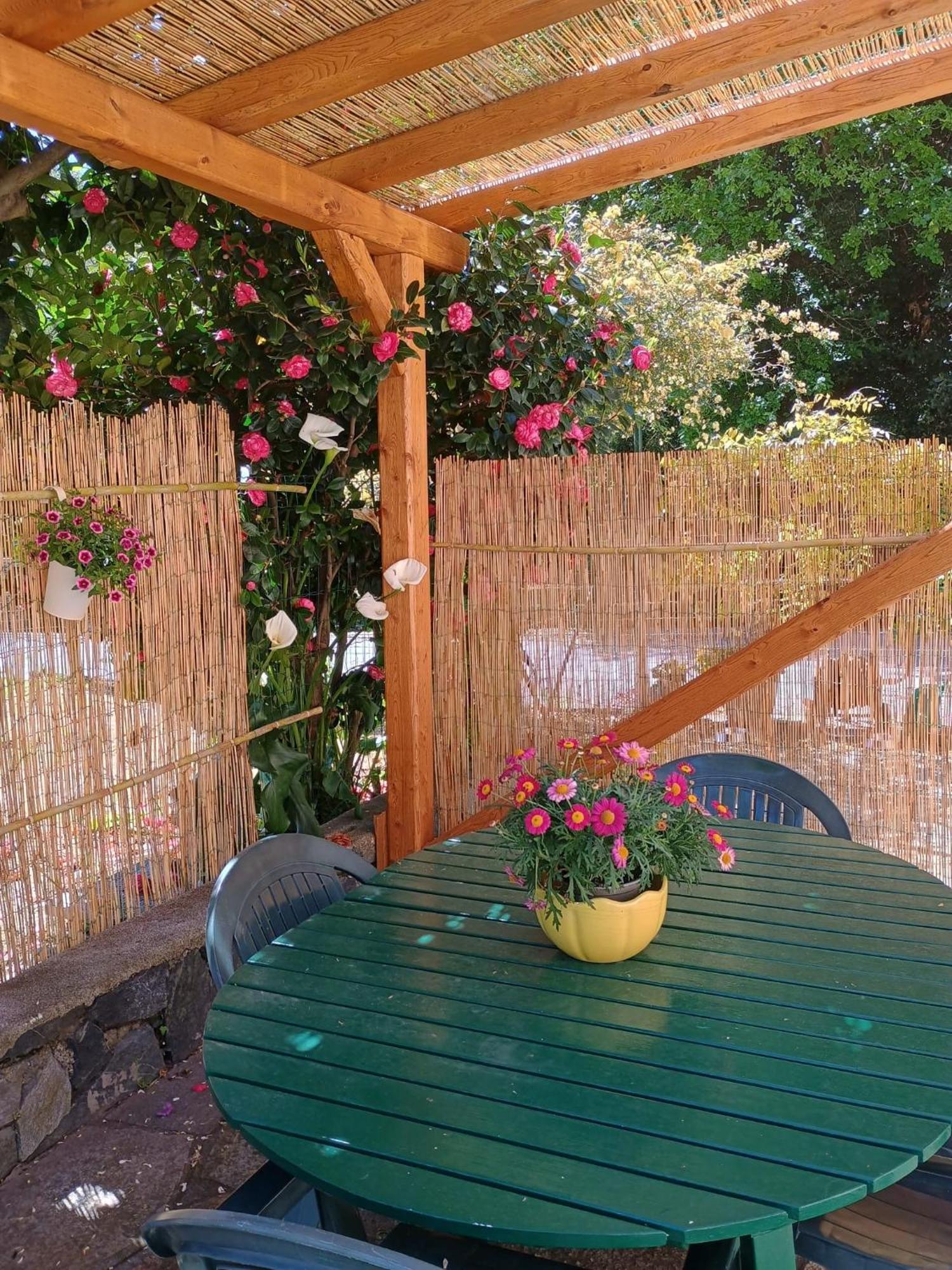 La Casa Dei Due Aranci Villa Albisola Superiore Buitenkant foto