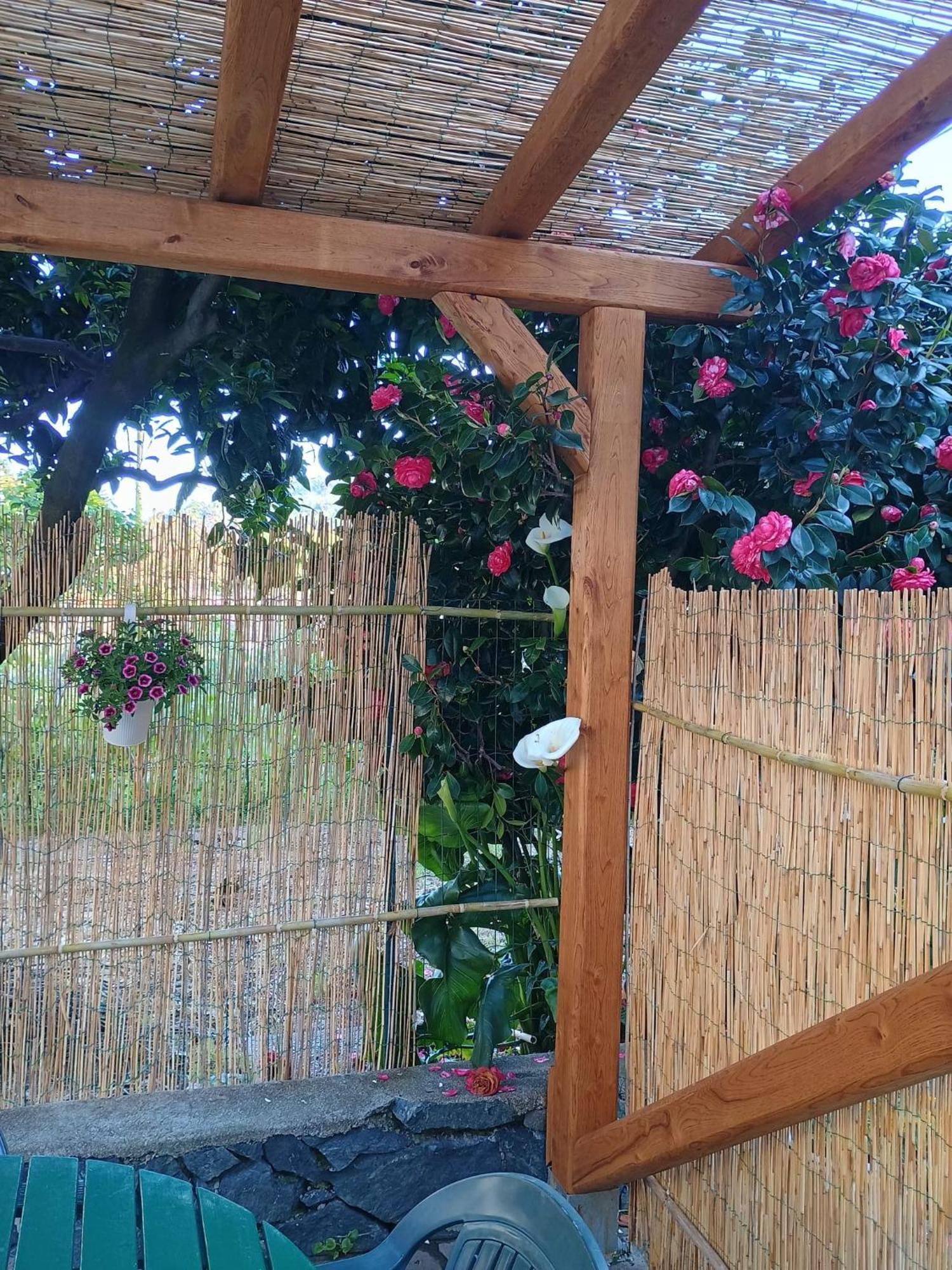 La Casa Dei Due Aranci Villa Albisola Superiore Buitenkant foto